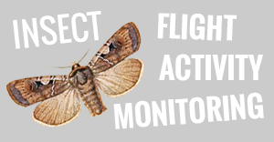 Monitoring létavého hmyzu