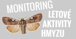 Monitoring létavého hmyzu